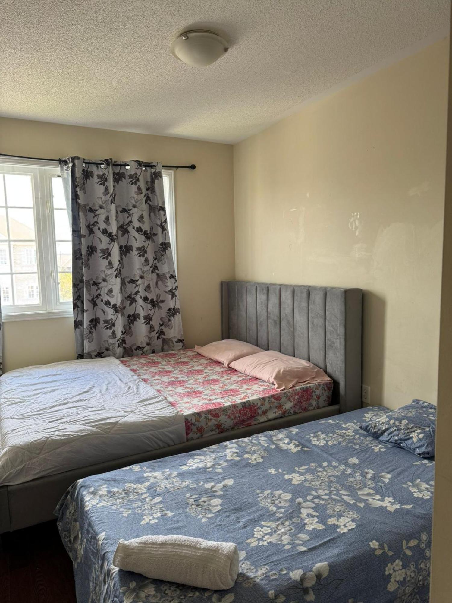 Homestay Bnb- High Speed Internet, Free Parking Toronto